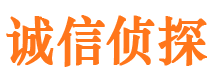 元阳市侦探调查公司